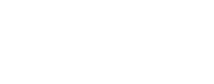Mobile & Internet Access networks integration Services